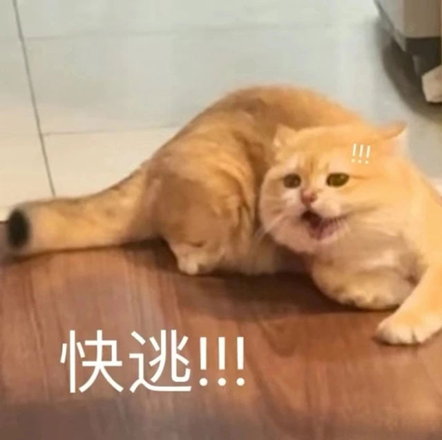 【圍觀】網(wǎng)購牛肝菌！瀘州一家4口中毒入院