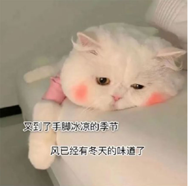 【擴(kuò)散】怕冷，手腳冰冷，吃點(diǎn)涼的就拉肚子的看過來！