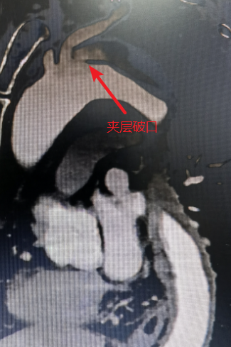 動2.png