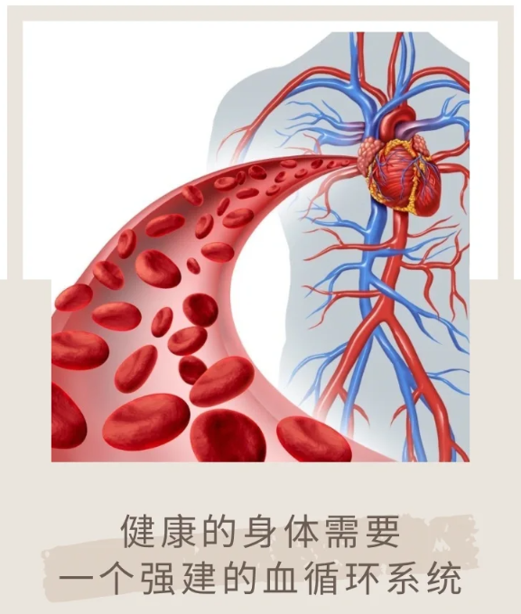 科普】血液一變臟，人就廢一半！這些血液病，真心希望您沒有！