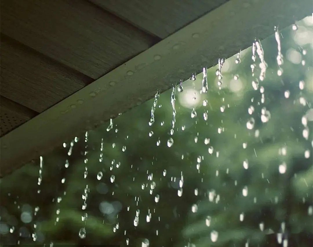 【雨水】寒濕重的人！這3種時令菜吃起來