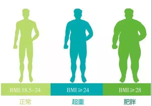 【擴散】30人！西南醫(yī)大中醫(yī)院“中醫(yī)減重營”招人啦