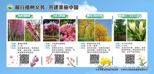 樹2.jpg
