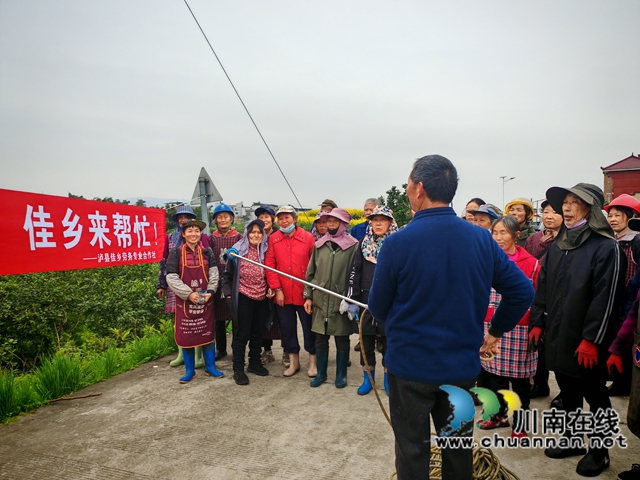 3月13日，瀘縣佳鄉(xiāng)勞務(wù)專合社勞務(wù)經(jīng)紀人彭麗邀請嘉明鎮(zhèn)農(nóng)技人員到瀘縣金明農(nóng)業(yè)發(fā)展專業(yè)合作社檸檬基地開展果樹病蟲害防治培訓(xùn)。.jpg