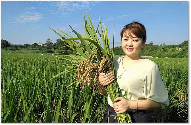 瀘州市鄉(xiāng)村女能人薛世蘭：帶領(lǐng)鄉(xiāng)親們種出“致富路”
