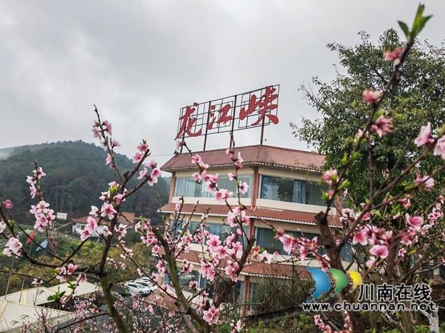 桃花從中龍江峽（曾佐然攝）.jpg