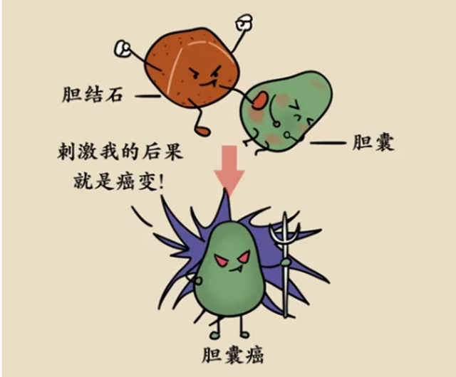 膽3.jpg