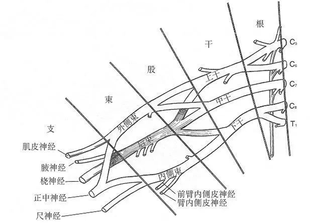 雙2.jpg