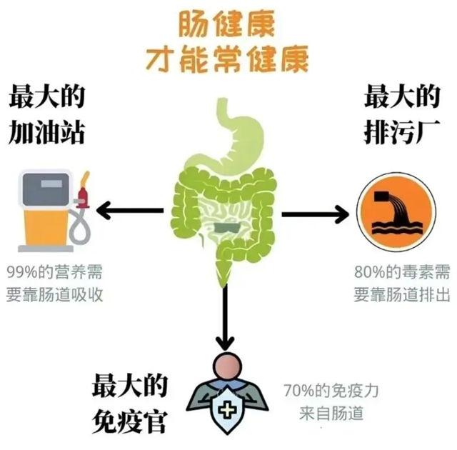 腸1.jpg