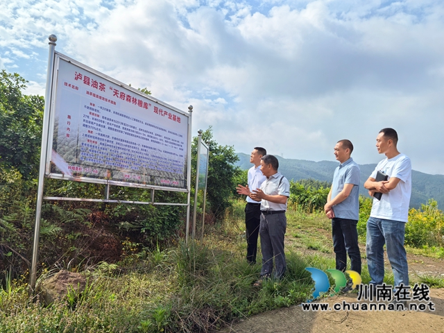 瀘縣農(nóng)民工服務(wù)中心、瀘縣福集鎮(zhèn)干部調(diào)研油茶基地.jpg