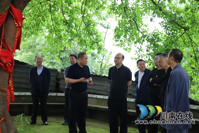 參觀古樹（曾佐然攝）.jpg