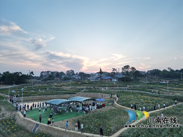 夜幕降臨，向日葵基地游人如織（李桂漣攝）.jpg