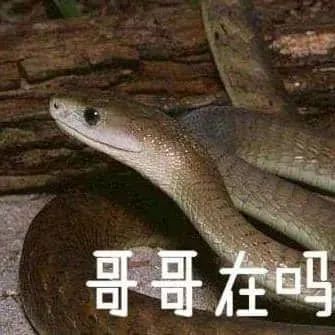 蛇出沒(méi)請(qǐng)注意！瀘州市人醫(yī)儲(chǔ)備有抗蛇毒血清，關(guān)鍵時(shí)刻能救命！