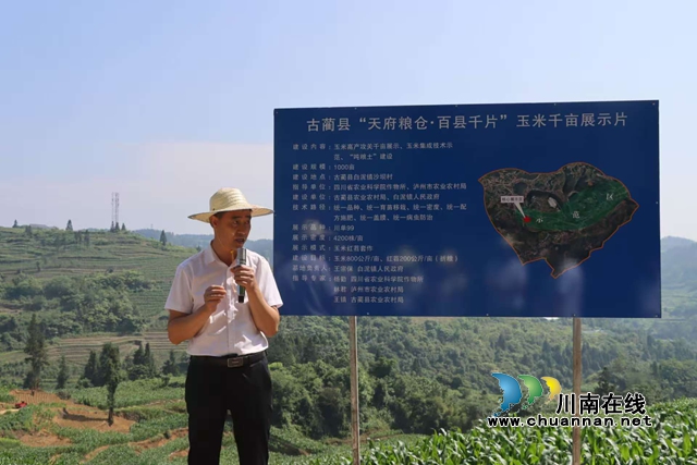 白泥1.jpg