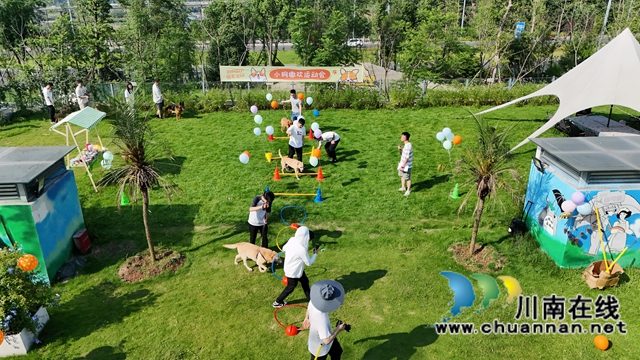 小狗撒歡運(yùn)動會現(xiàn)場全景。.JPG