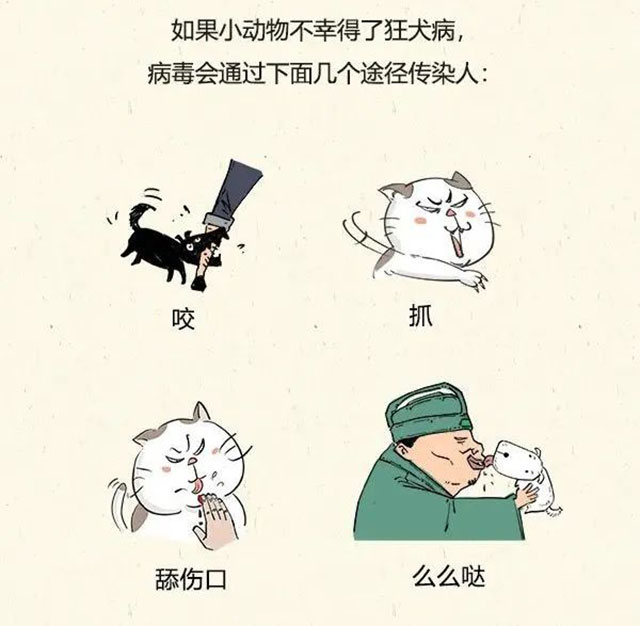 建議收藏！瀘州市狂犬病暴露預(yù)防處置門診信息匯總來了