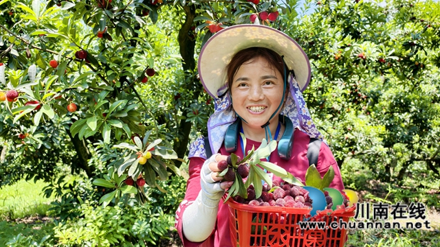 圖1：楊梅豐收樂了張秀芬.jpg