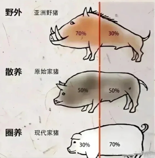 合江縣中醫(yī)醫(yī)院建院40周年·科普 | 經(jīng)常運動和不運動的人，有啥區(qū)別？