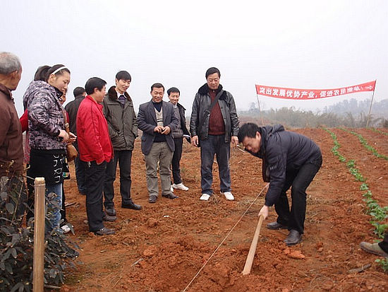 民富村強(qiáng) 天仙鎮(zhèn)創(chuàng)先爭(zhēng)優(yōu)效果顯著(圖7)