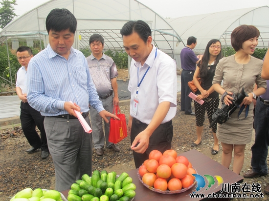 瀘州市人大常委會陳雁到特興鎮(zhèn)現(xiàn)代農(nóng)業(yè)園參觀考察(圖3)