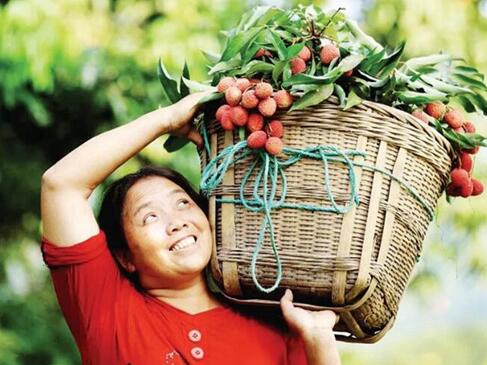 聚焦重點(diǎn)項(xiàng)目丨合江，手握鄉(xiāng)村振興“密碼”(圖5)