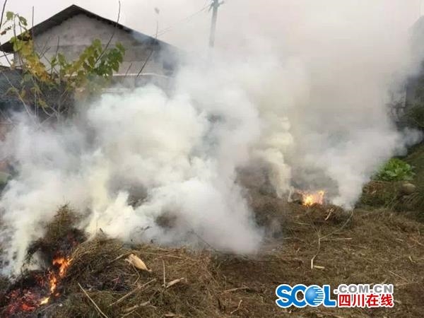 四川通報(bào)一起大氣暗查典型案例 樂(lè)山因這件事屢禁不止被點(diǎn)名