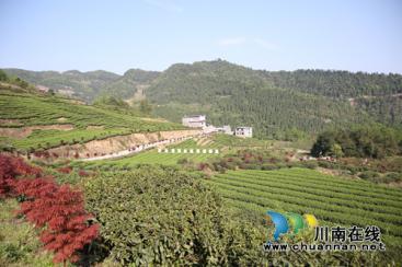 “藺沙溪”品牌創(chuàng)始人姜琳：誓讓古藺土特產(chǎn)走向全國！(圖28)