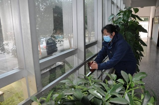 瀘州：火化遺體送葬車輛限2輛以內(nèi)、隨行喪屬不得超10人(圖5)