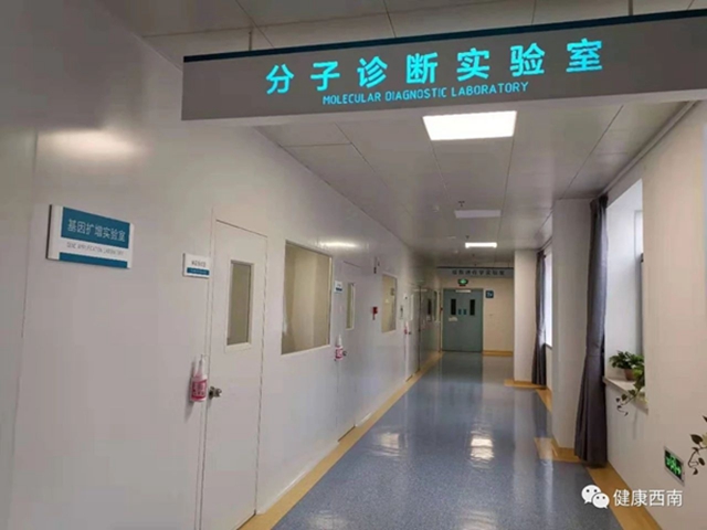 【直擊】4小時左右可出檢測結(jié)果 西南醫(yī)科大學(xué)附屬醫(yī)院新冠狀病毒檢測實(shí)驗(yàn)室日檢測最大能力360人份