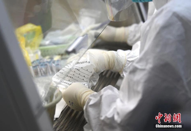 九問新型冠狀病毒：新病毒比SARS“狡猾”在哪兒？(圖3)
