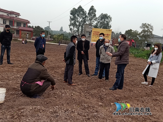 瀘縣農(nóng)業(yè)農(nóng)村局到潮河鎮(zhèn)指導(dǎo)大春生產(chǎn)工作