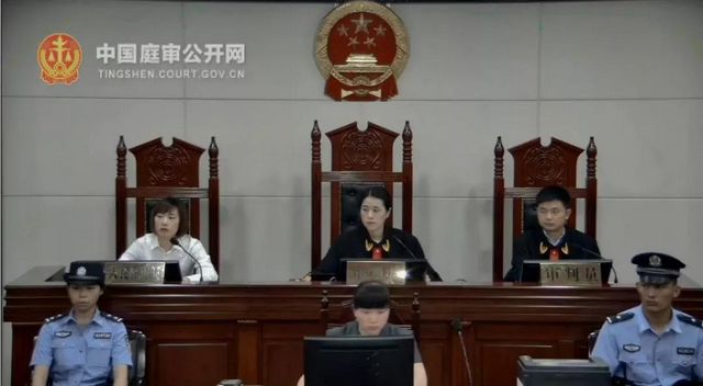 龍馬潭區(qū)法院自貿(mào)區(qū)法庭| 涉外民商事審判，Ta真的來了！(圖3)