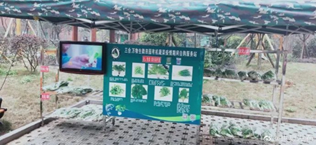 方便！無人售賣蔬菜進入宜賓這個小區(qū)了！全程自助式購買！