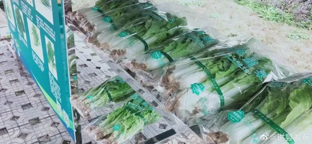 方便！無人售賣蔬菜進入宜賓這個小區(qū)了！全程自助式購買！(圖3)