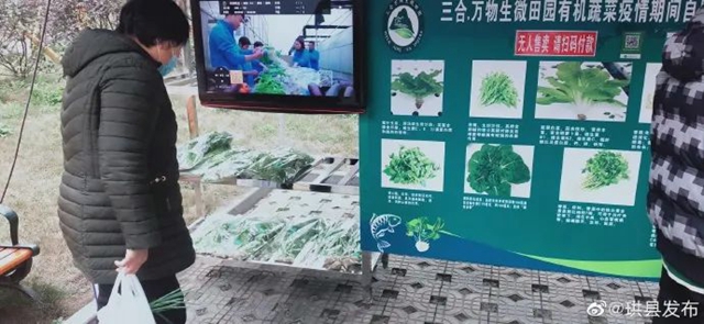 方便！無人售賣蔬菜進入宜賓這個小區(qū)了！全程自助式購買！(圖4)