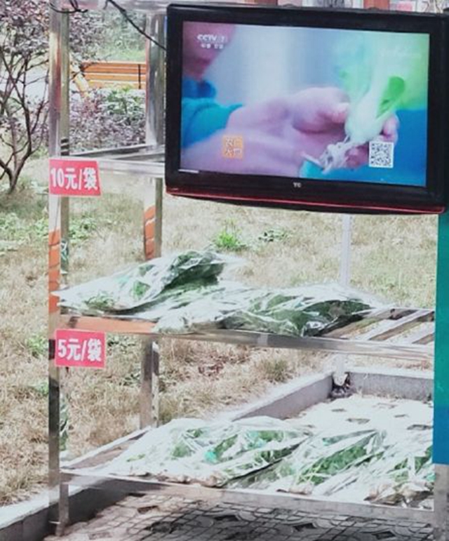 方便！無人售賣蔬菜進入宜賓這個小區(qū)了！全程自助式購買！(圖5)