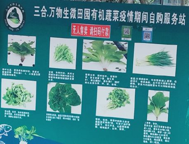 方便！無人售賣蔬菜進入宜賓這個小區(qū)了！全程自助式購買！(圖6)