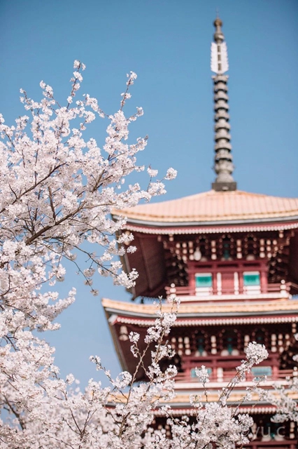 【西南醫(yī)大中醫(yī)院?科普】驚蟄來了，病菌又將活躍(圖7)
