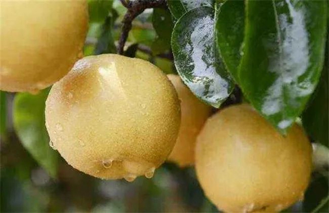 【西南醫(yī)大中醫(yī)院?科普】驚蟄來了，病菌又將活躍(圖2)