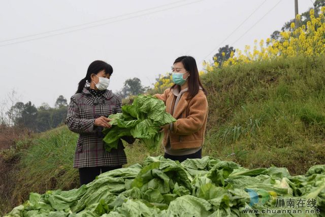 疫情戰(zhàn)線(xiàn)見(jiàn)擔(dān)當(dāng) 扶貧路上礪青春(圖5)
