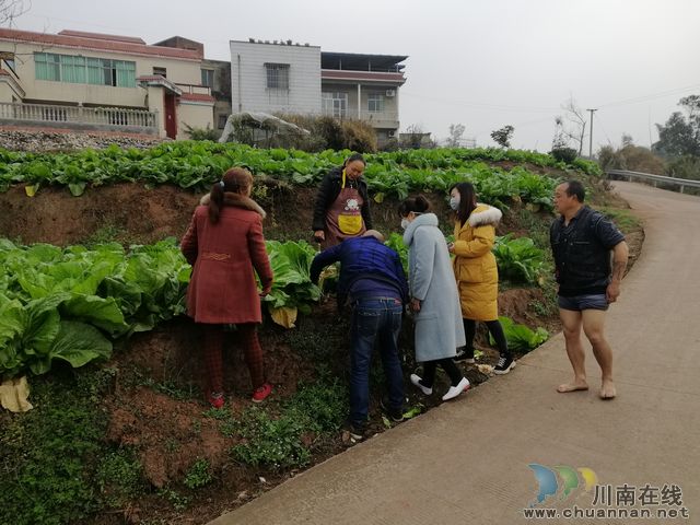 疫情戰(zhàn)線(xiàn)見(jiàn)擔(dān)當(dāng) 扶貧路上礪青春(圖6)