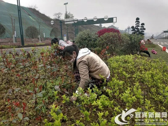 好消息！金沙江大道二期預(yù)計(jì)4月底竣工，連接南岸西區(qū)至繞城高速(圖2)