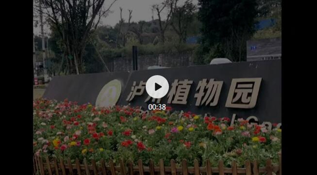 每日限500人次 ，瀘州植物園恢復(fù)開(kāi)園！(圖2)