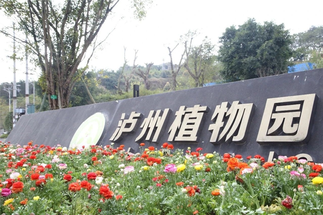 每日限500人次 ，瀘州植物園恢復(fù)開園！