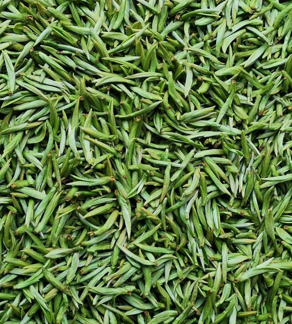 2億資金助茶農(nóng)！央視點(diǎn)贊宜賓！這些茶葉持續(xù)熱銷(圖2)