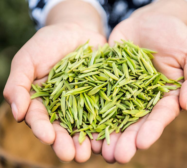 2億資金助茶農(nóng)！央視點(diǎn)贊宜賓！這些茶葉持續(xù)熱銷(圖5)