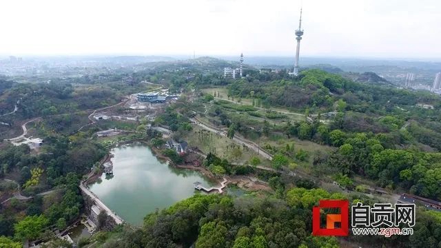 自貢：鹽都植物園錯(cuò)峰開放啦！