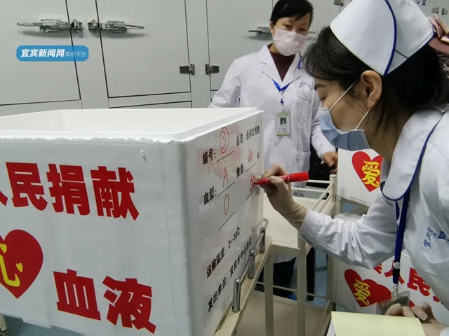 支援湖北！宜賓捐出10萬毫升血液(圖4)
