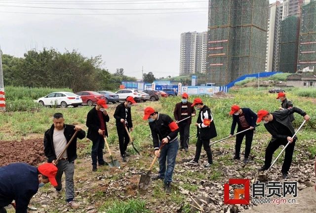 整得扎實！這周末，10萬自貢人干了一件美麗的事(圖12)