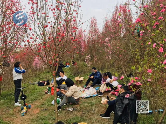 看桃花致富順板橋收費(fèi)站關(guān)閉，疫情尚未解除，別扎堆！(圖4)